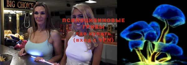 винт Аркадак