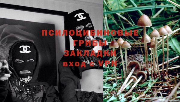 винт Аркадак