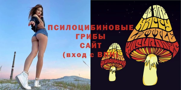трава Алзамай