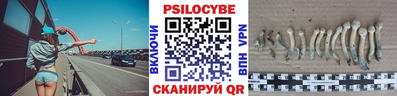 цена   Михайловск  Псилоцибиновые грибы Psilocybe 